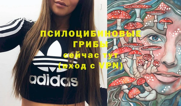 a pvp Кинешма