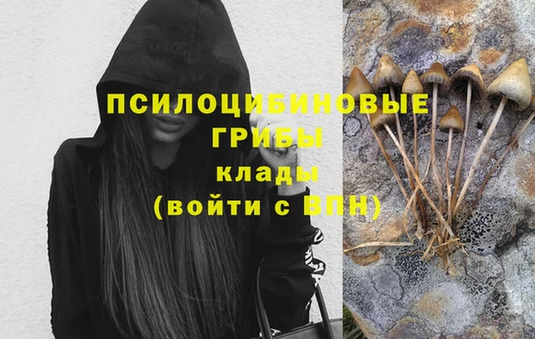 СК Киренск