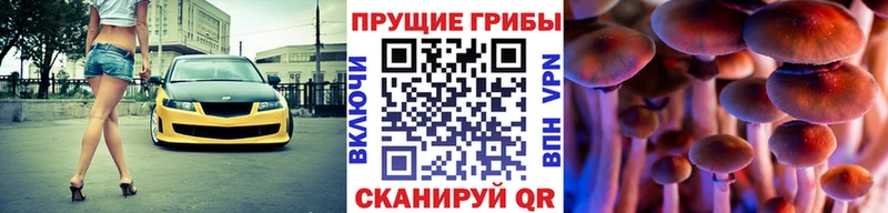 Галлюциногенные грибы MAGIC MUSHROOMS  даркнет сайт  Саратов 